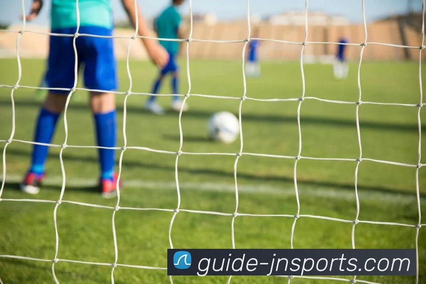 江南体育平台生态图